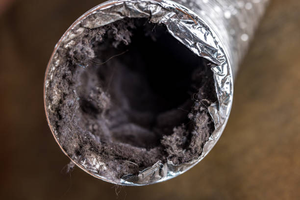 Best Professional Duct Cleaning Services  in Harbor Hills, OH